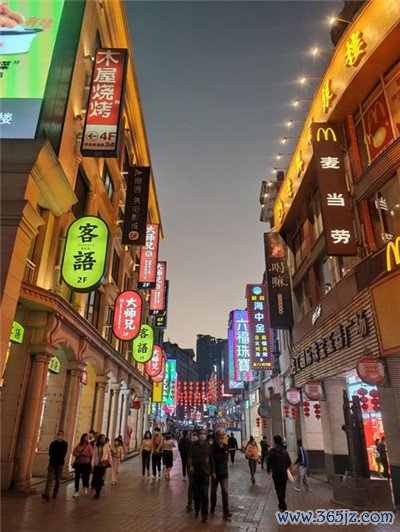 提供专业服务,展现行业实力 提供专业服务,展现行业实力